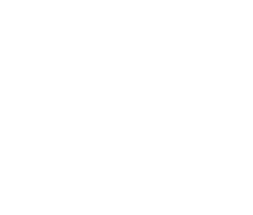 digital-icon-white