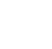 investing-icon-white