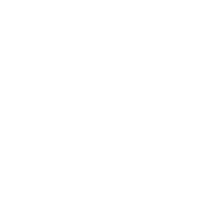 pie-chart-icon-white